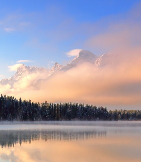 粉象生活邀请码可以改吗
