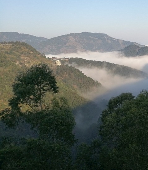 粉象生活怎么注册团队人员