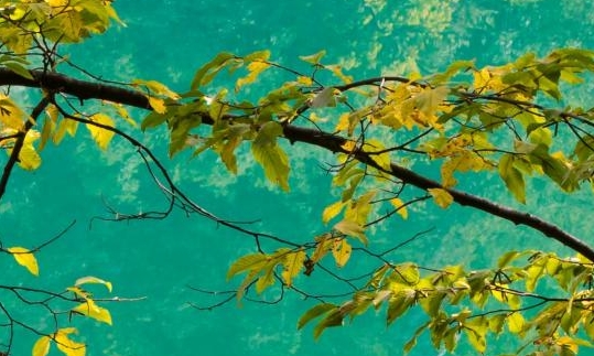 粉象生活可以赚钱吗