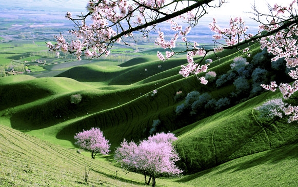 粉象生活怎么找大优惠