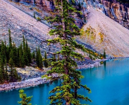 粉象生活平台可靠吗