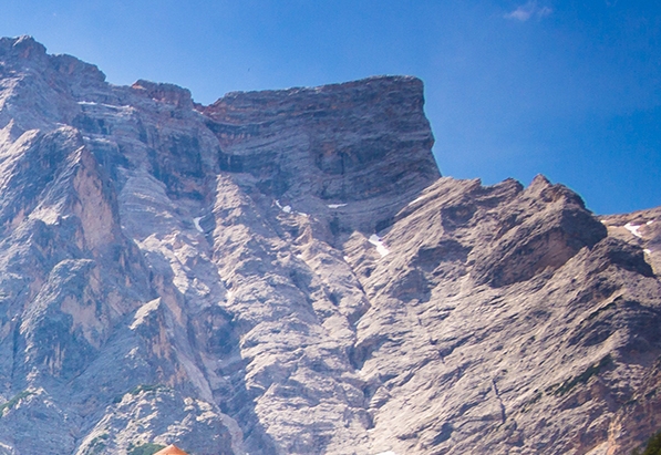 粉象生活0元购活动总是抢不到