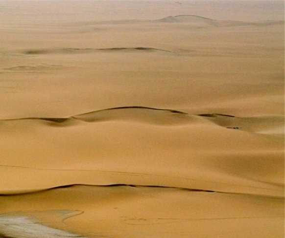 河南正规粉象生活官网