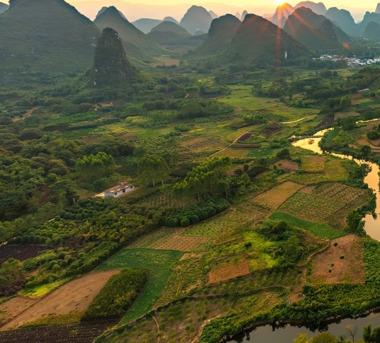 佛山粉象生活积分