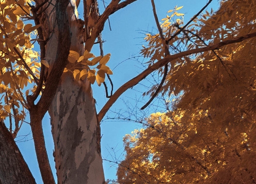 粉象生活买东西怎么退货