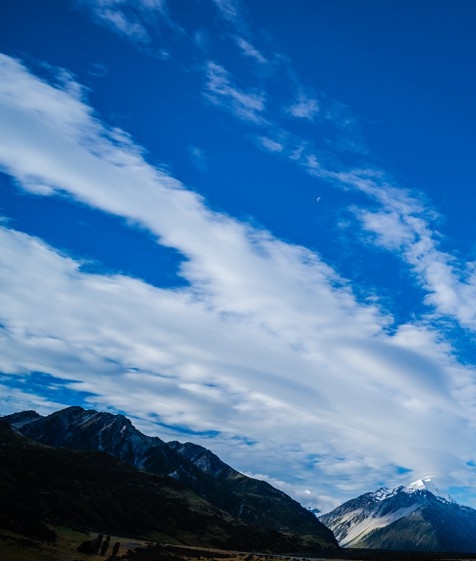 粉象生活隐藏优惠券