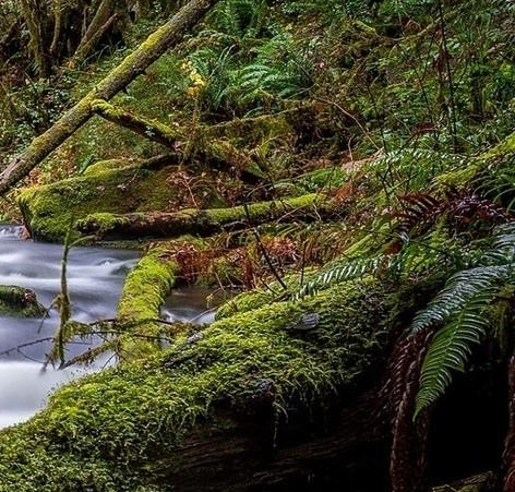 粉象生活用哪个软件开店