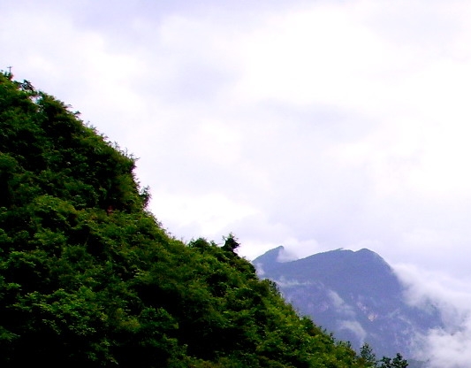 粉象生活邀请码填谁的最好