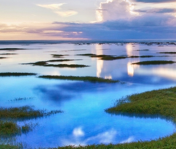 粉象生活订单怎么退款