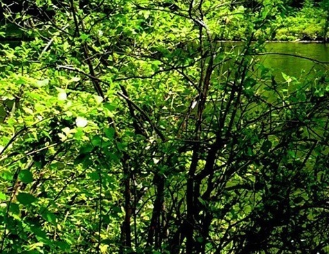 粉象生活邀请码