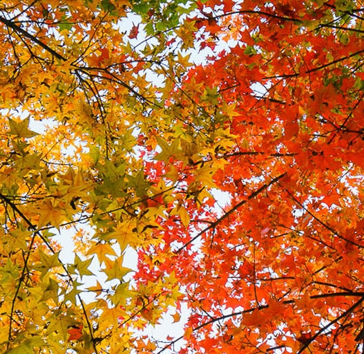 粉象生活可以赚钱吗