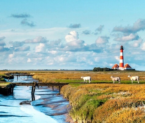 余姚生活网招工信息广场