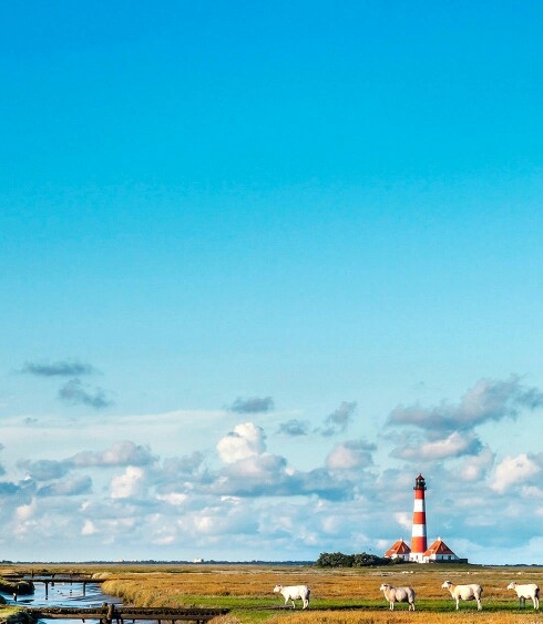 粉象生活可以赚钱吗