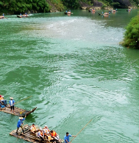白马晶选和粉象生活