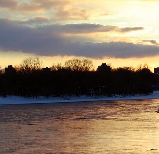 粉象生活邀请码零填325.922