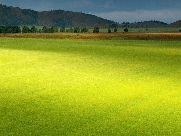 粉象生活可以赚钱吗