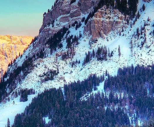 粉象生活怎么分享优惠券