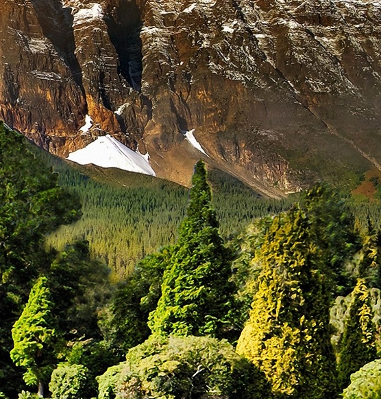 和生活定向流量怎么用
