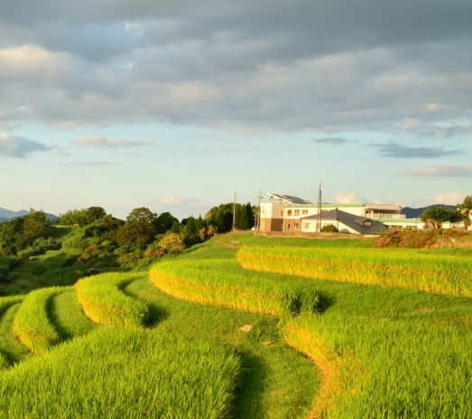 粉象生活日推广50人