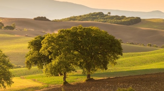 加入粉象生活的风口