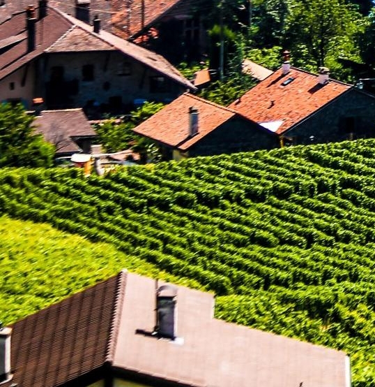 粉象生活粉丝怎么增加