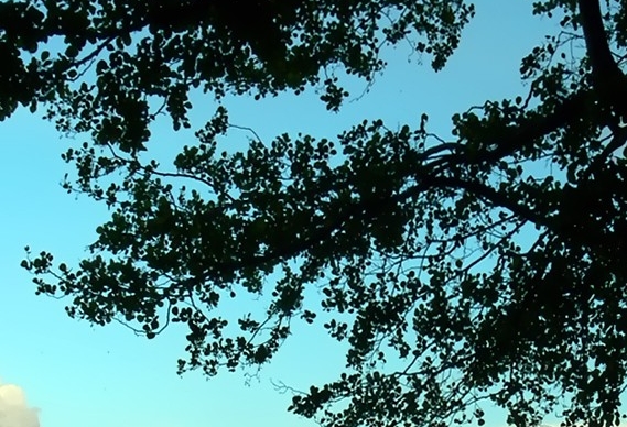 粉象生活赚钱的学习教程