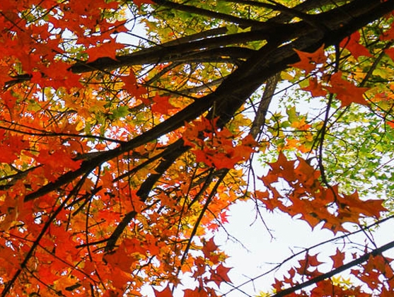 粉象生活的钱怎么转到淘宝