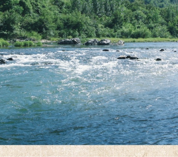 闲鱼怎么提升曝光率