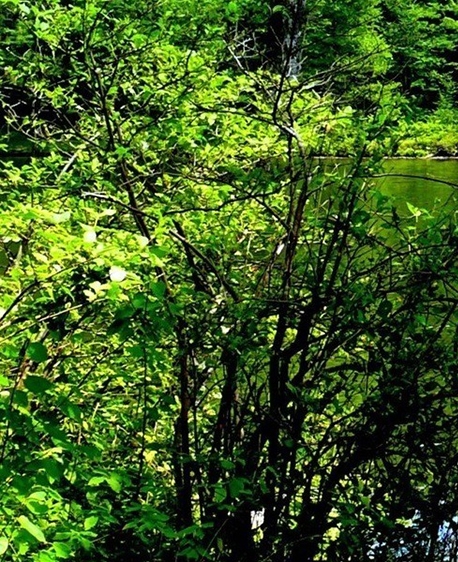 粉象生活绑定了淘宝,怎么取消