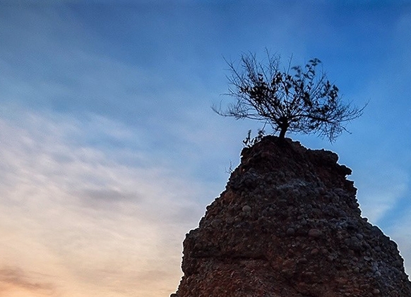 吉林创新粉象生活怎么样