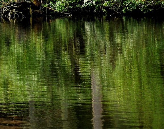粉象生活怎么看上级邀请码