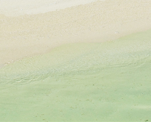 如何加入粉象生活推广