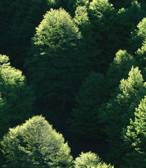 一淘和粉象生活哪个返利高