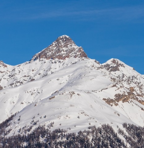 粉象生活邀请人怎么看