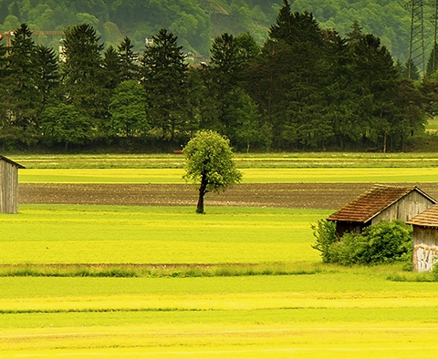 粉象生活的商品是什么