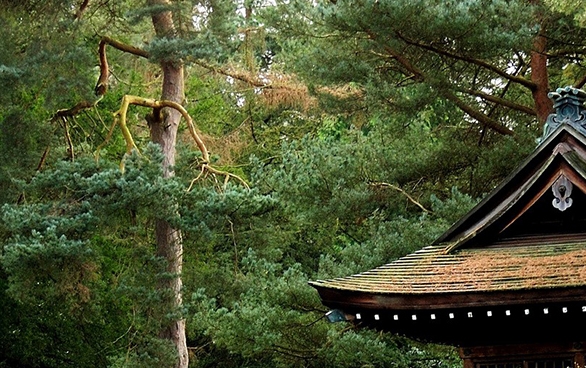 粉象生活官网首页