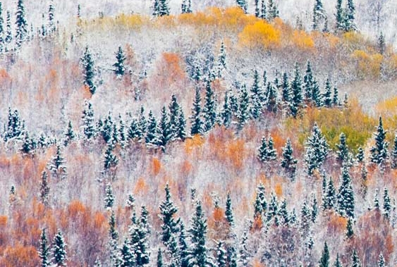 没人脉怎么玩粉象生活