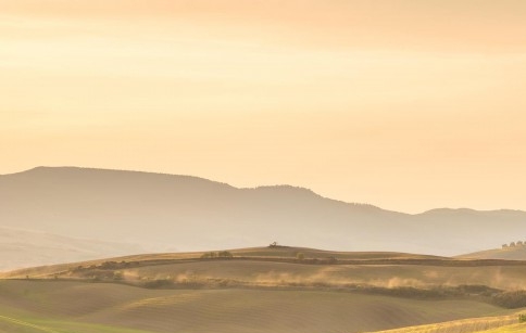 粉象生活和小红书哪个好