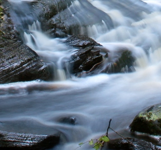 粉象生活真实收入