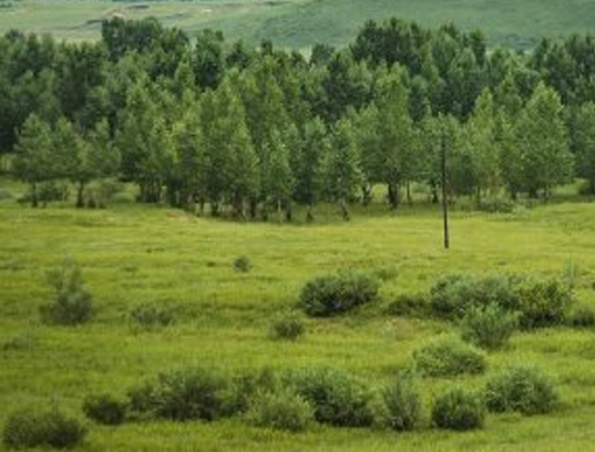 粉象生活专属邀请码是什么