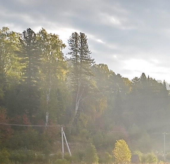 湖北高端粉象生活好不好