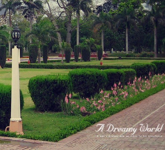 遂宁粉象生活代理粉象生活