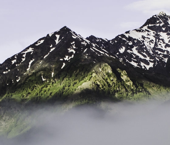 粉象生活如何赚钱