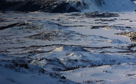 粉象生活是干什么的?怎么赚钱