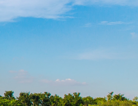 粉象生活升级后大概几天才看到收入