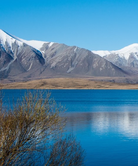 小鹅花钱靠谱吗