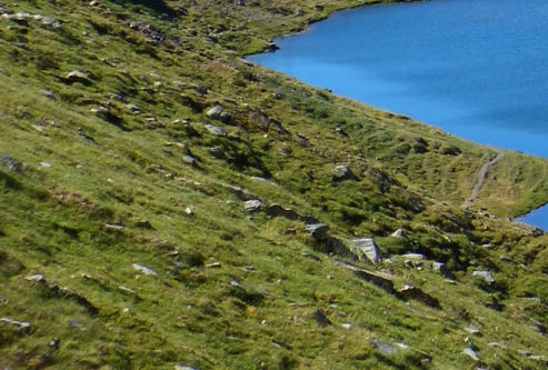 粉象生活到底靠谱吗