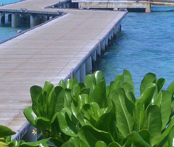 粉象生活邀请码