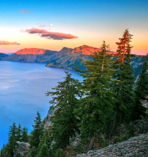 粉象生活怎么省钱