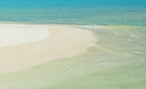 粉象生活保险有效吗